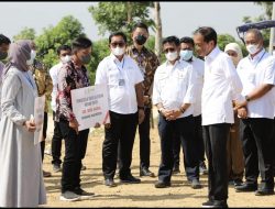 Disaksikan Presiden Jokowi, Kementan dan BNI Luncurkan Program Alsintan