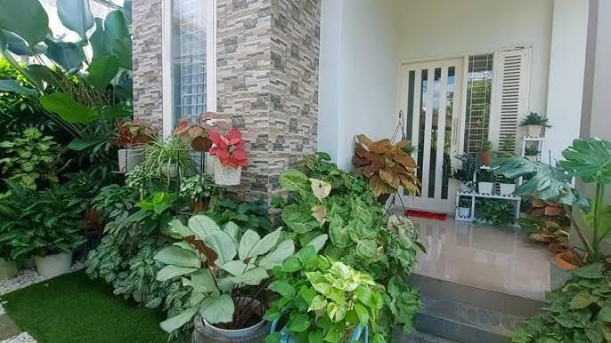 Mencintai Tanaman Bermanfaat Bagi Kesehatan Fisik dan Psikis